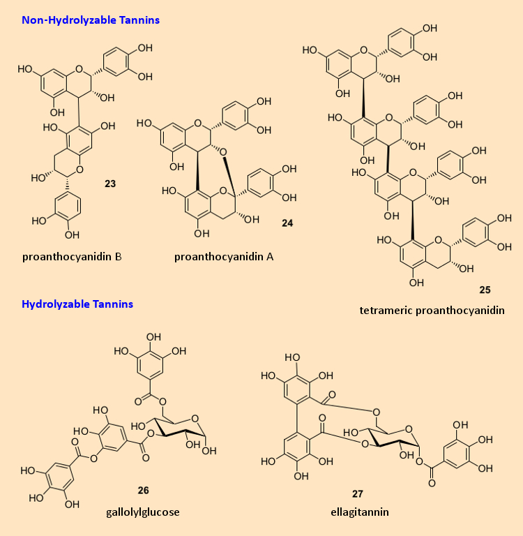 Chemical structures of tannins (21–27).