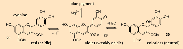 Structures and color changes of anthocyanins as plant pigments