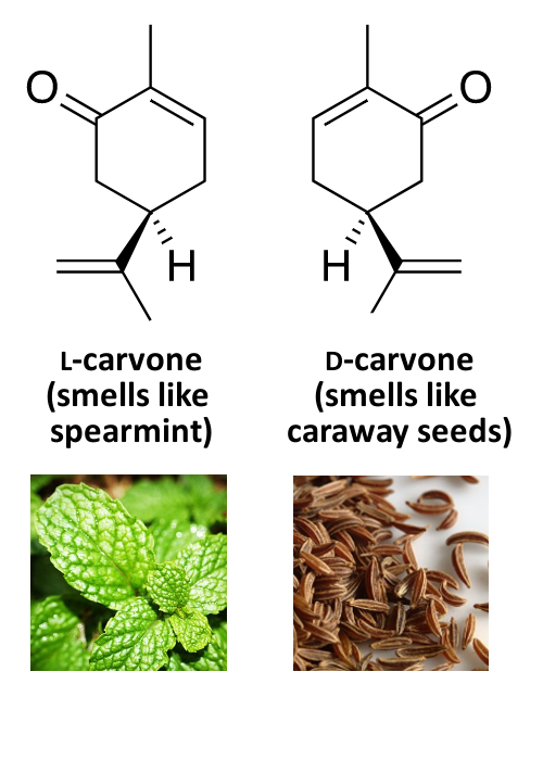 carvone