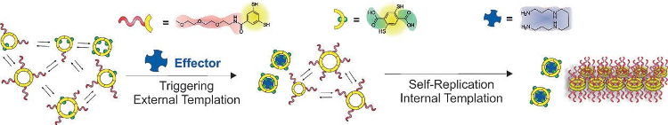 Effector-Triggered Self-Replication in Coupled Subsystems