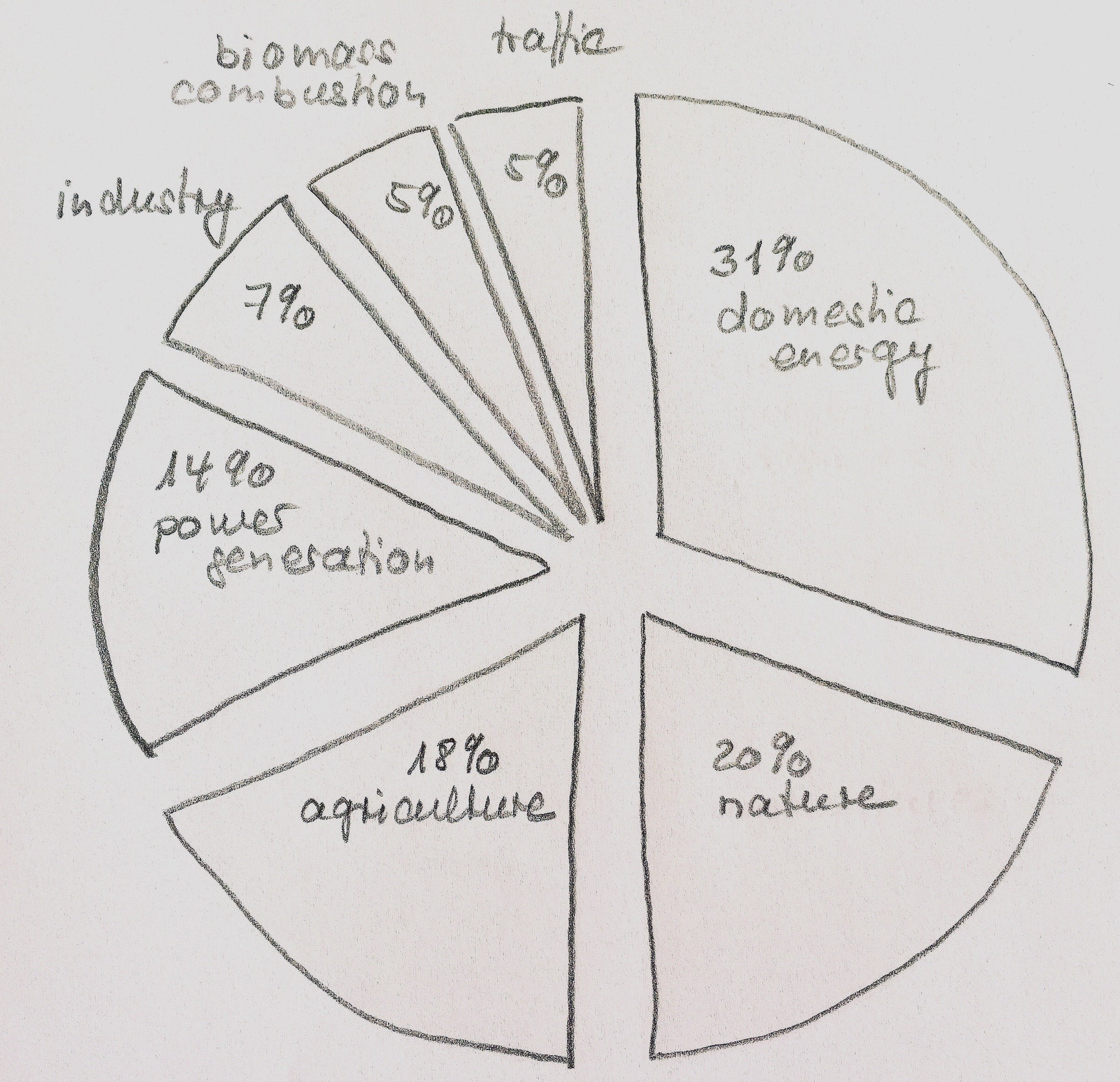 where does particulate matter come from