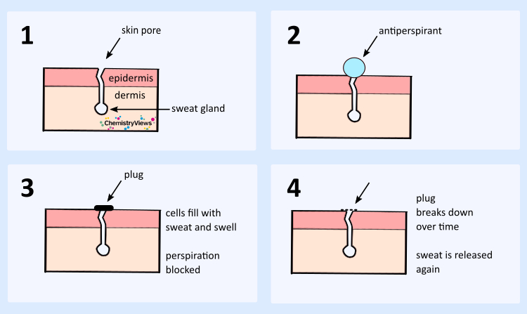 How Do Antiperspirants Work?