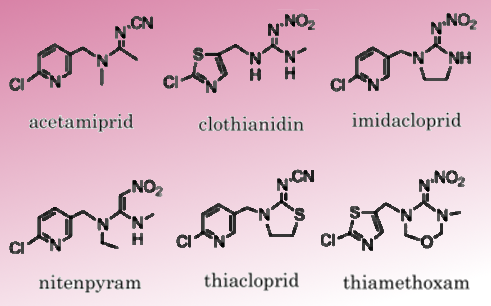 neonicotinoid insecticides