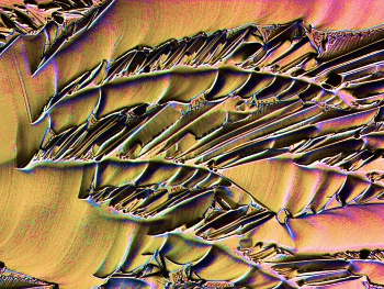 Changed pattern upon reduction of the concentration of citric acid