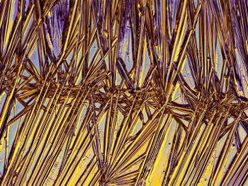 Straight structures through addition of a polymer