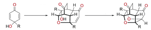 Reaction Scheme