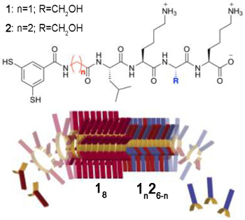 Parasitic Self-Replicating Molecular Systems