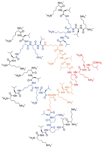 Antimicrobial Peptide Dendrimer