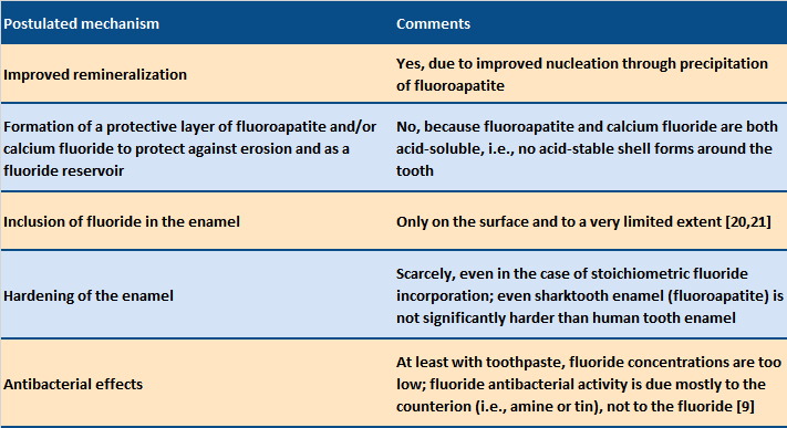 Postulated mechanism of action for fluorides in home dental care