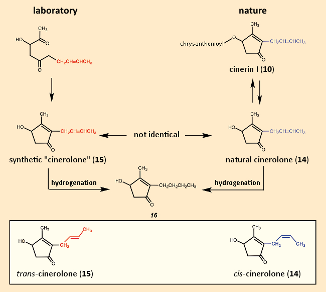 Unsuccessful attempt at a first cinerin total synthesis