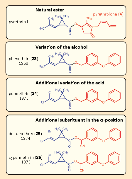 Evolution of the pyrethroids