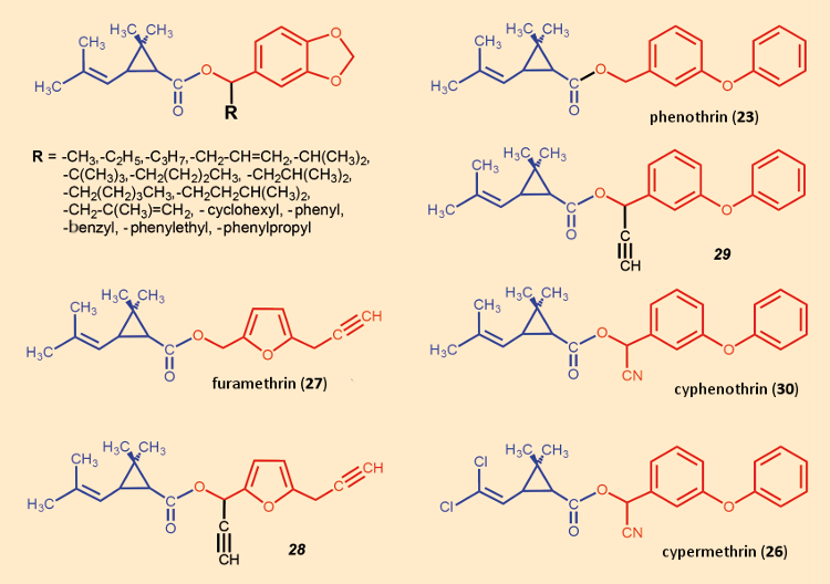 Pyrethroids with substituents in the α‐position