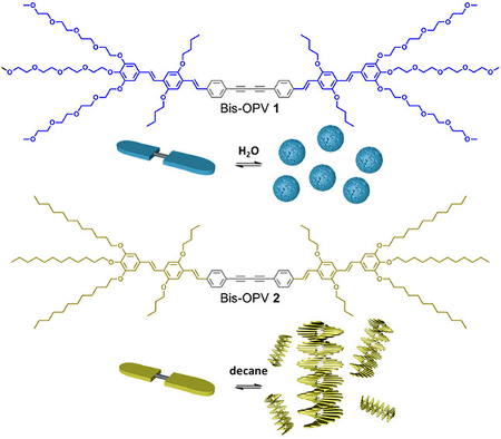 Supramolecular assemblies formed in aqueous or alkane media