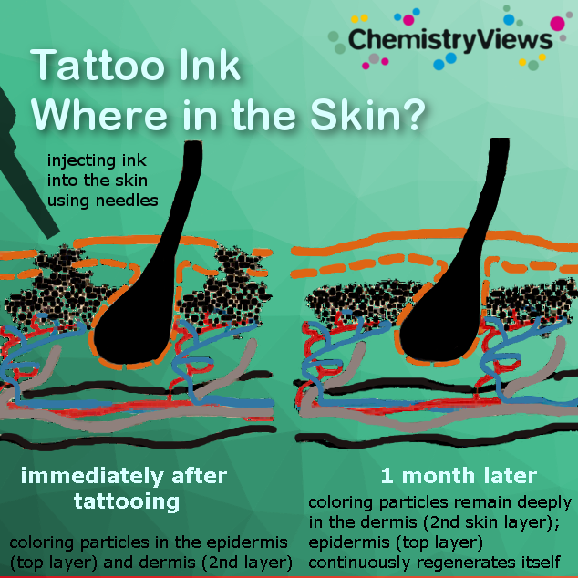Tattoo - where in the skin is it?