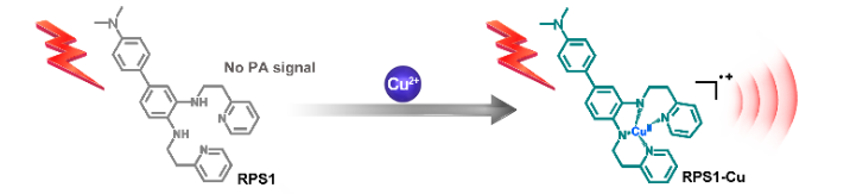 Activatable Small-Molecule Photoacoustic Probes that Cross the Blood-Brain Barrier for Visualization of Copper(II) in Mice with Alzheimer’s Disease