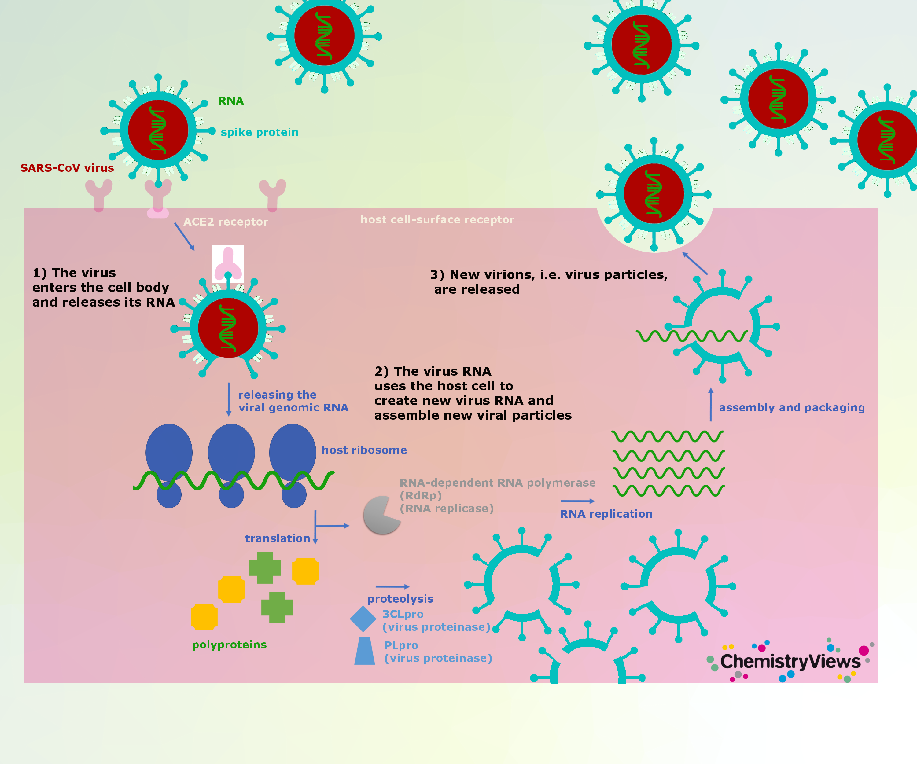 Coronavirus