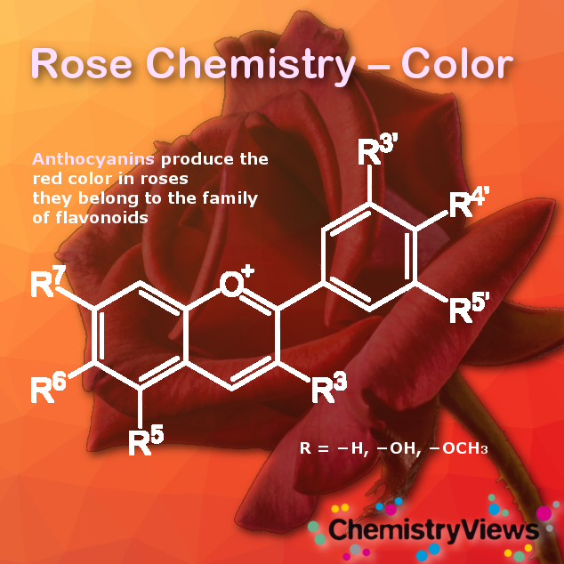Rose Chemistry Valentine's Day ChemistryViews