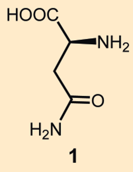 Asparagine