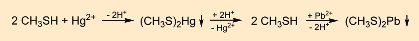 Necki's detection of methane thiol