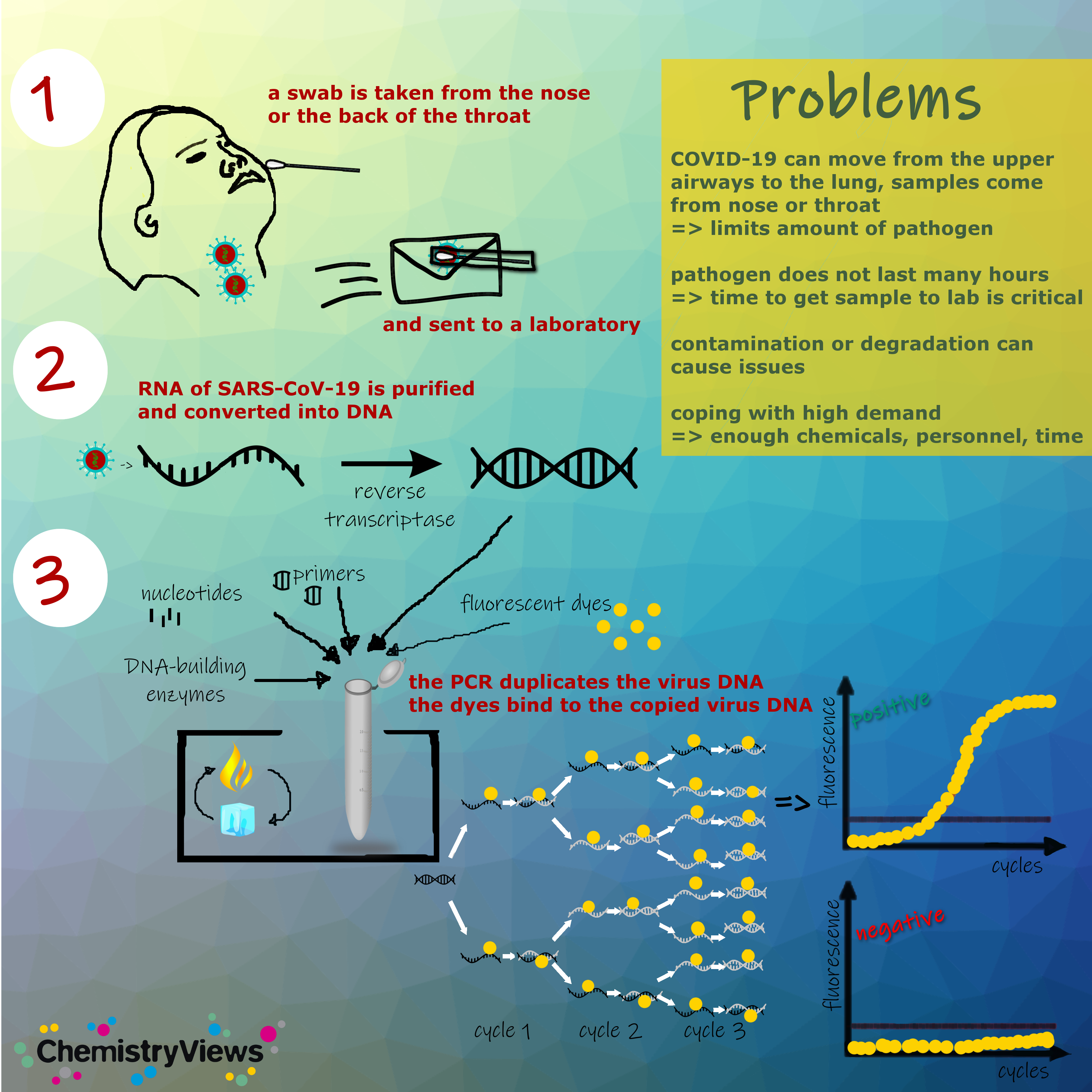 COVID-19 Test PCR test