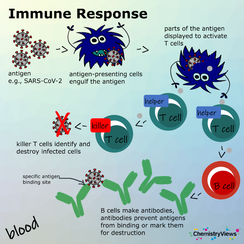 Immune Response