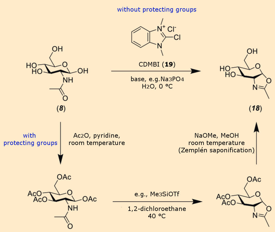 Chemical synthesis of sugar oxazolines