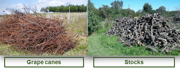 viticultural waste studied in the VITIVALO project