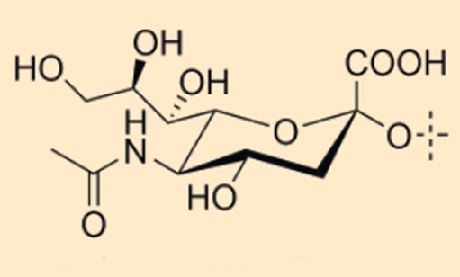 N-acetyl-D-glucosamine