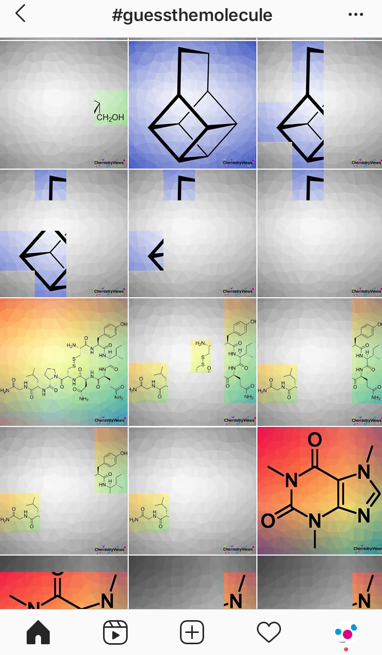 Guess the Molecule