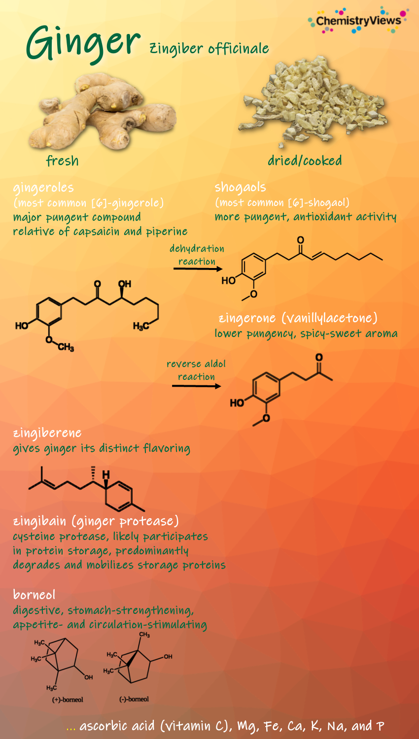 Ginger ChemistryViews Advent Calendar