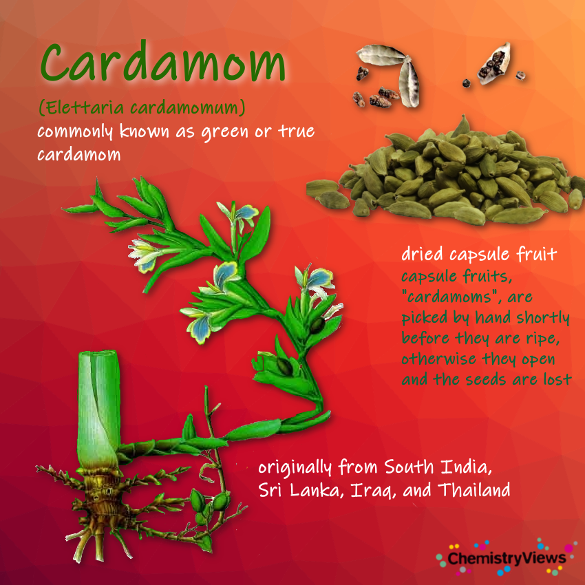 Cardamom ChemistryViews Advent Calendar