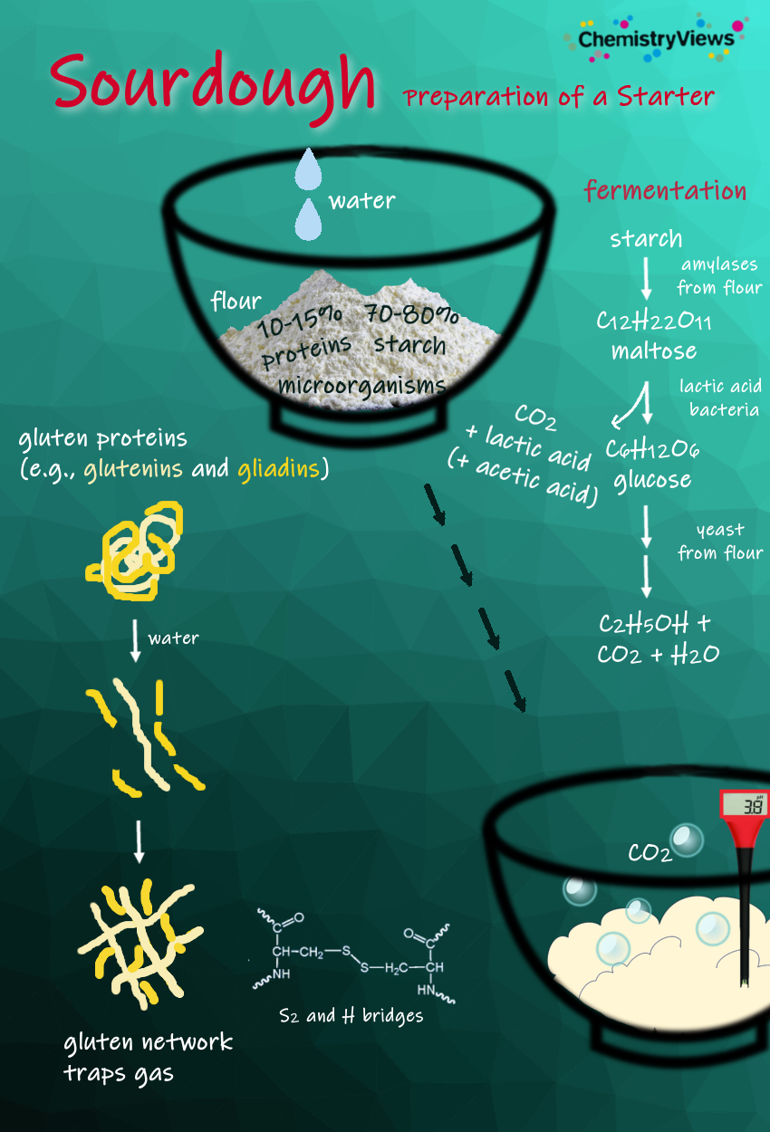 Sourdough AdventCalendar ChemistryViews