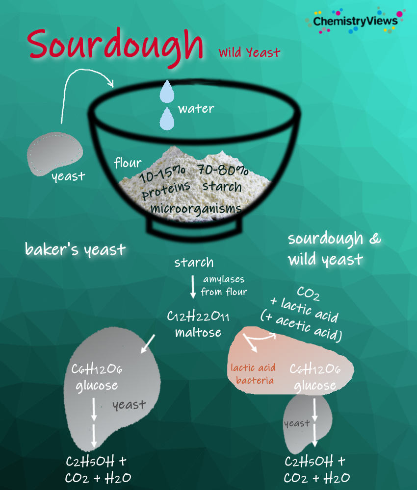 Wild Yeast vs Baker's Yeast 