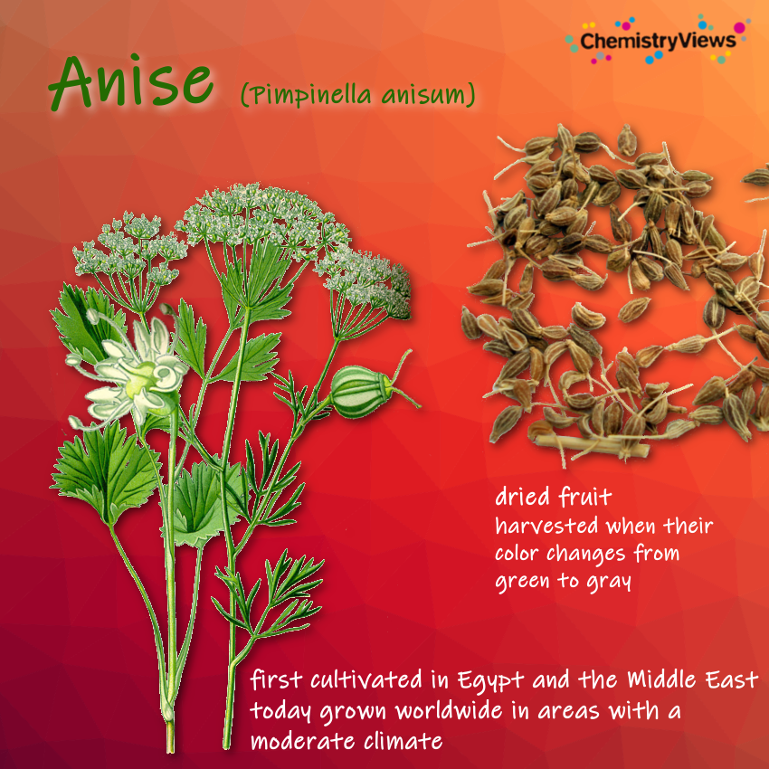 Anise ChemistryViews Advent Calendar