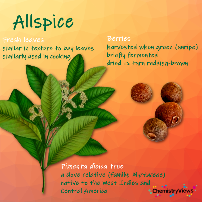 Allspice ChemistryViews Chemistry Advent Calendar