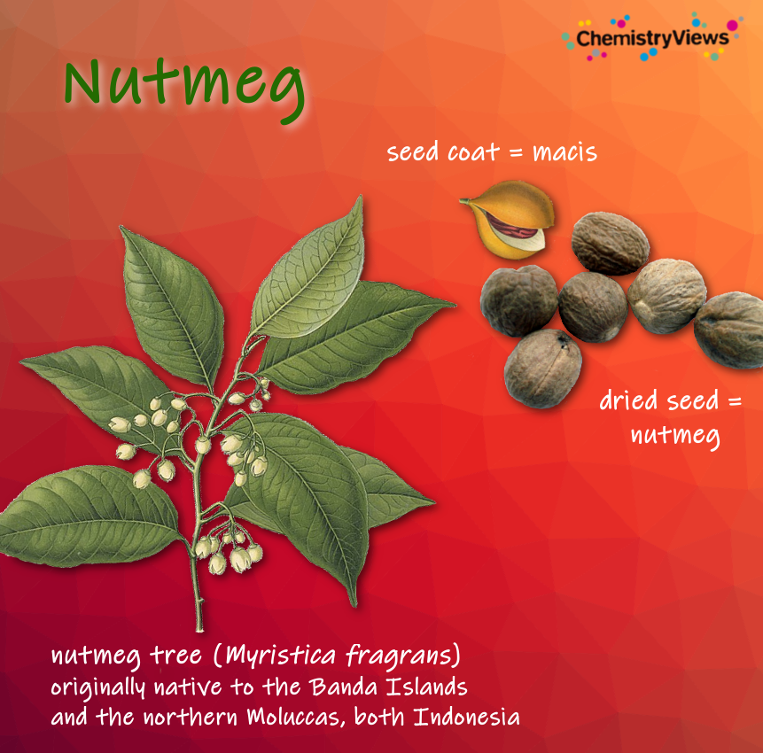 Nutmeg ChemistryViews Advent Calendar