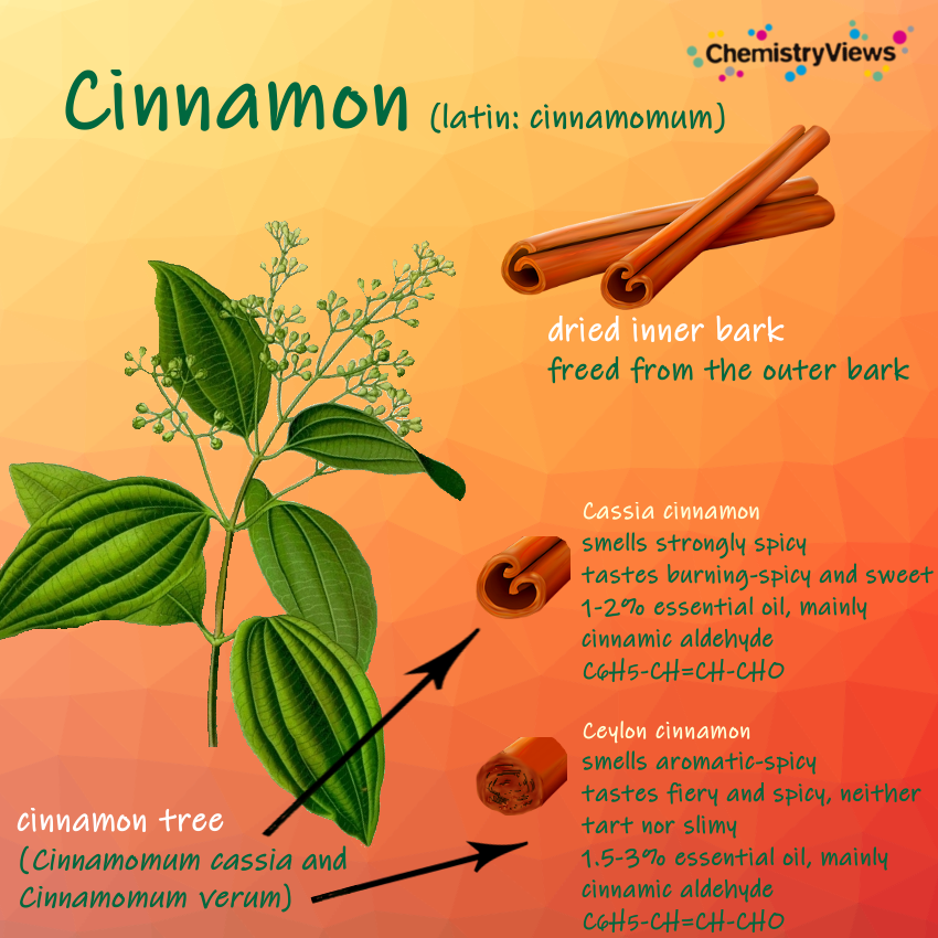 Cinnamon ChemistryViews Advent Calendar