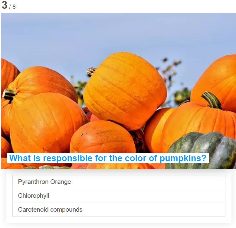 Pumpkin quiz