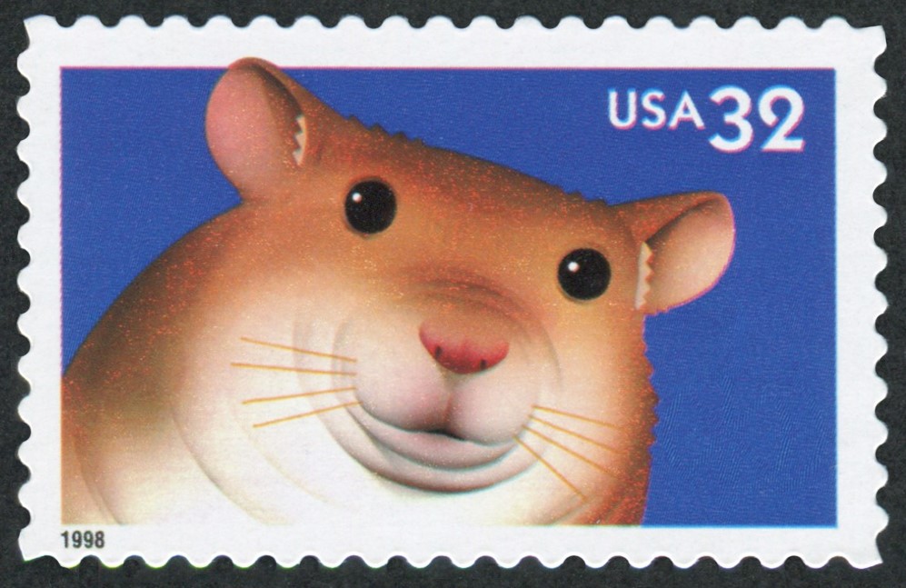 USA Hamster Stamp