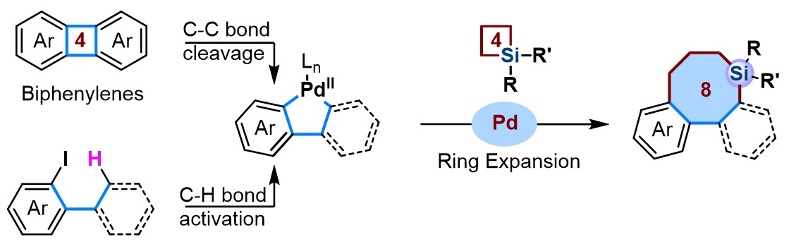 Ring expansion reaction mechanism-carbocation rearrangement video.