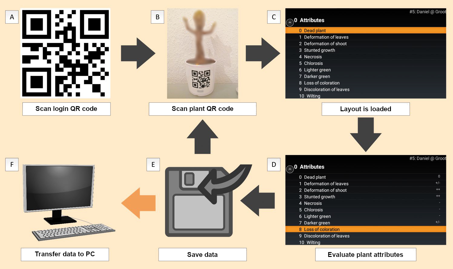 Flowchart for Plant-Classifier