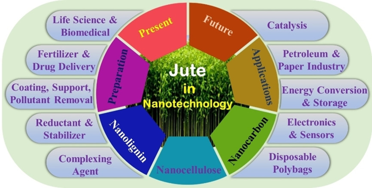 Present applications and future aspects of jute in nanotechnology