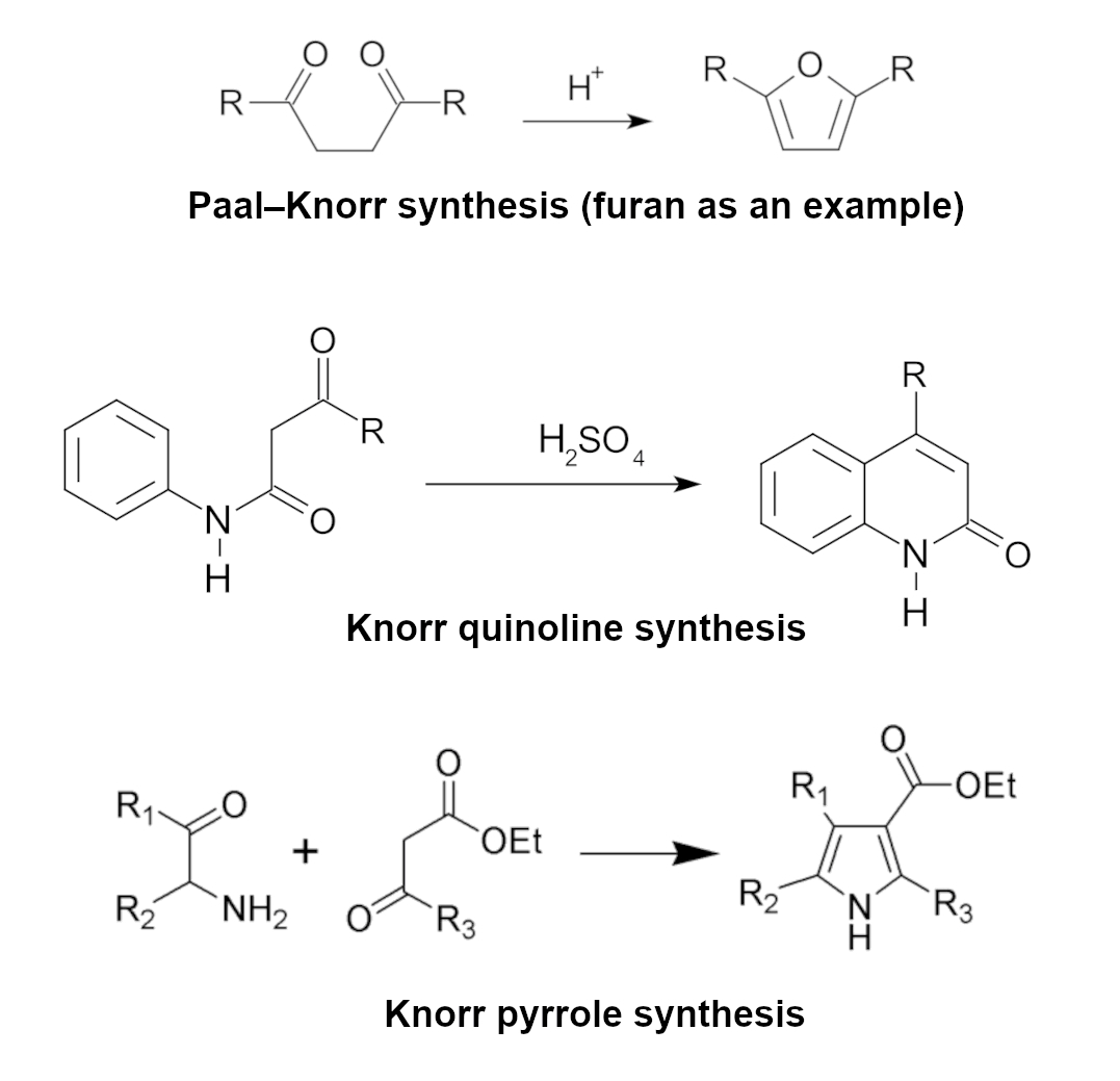 research paper of knorr