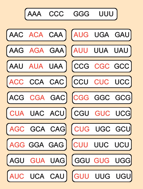 The code without commas developed by Crick et al.