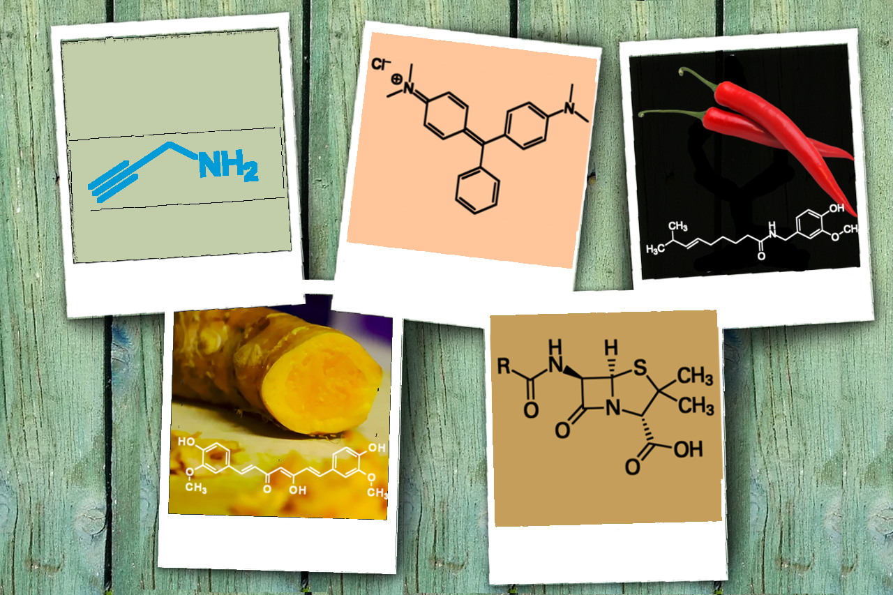 YourMoleculeStory