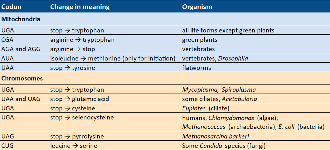 Codons with changing meaning