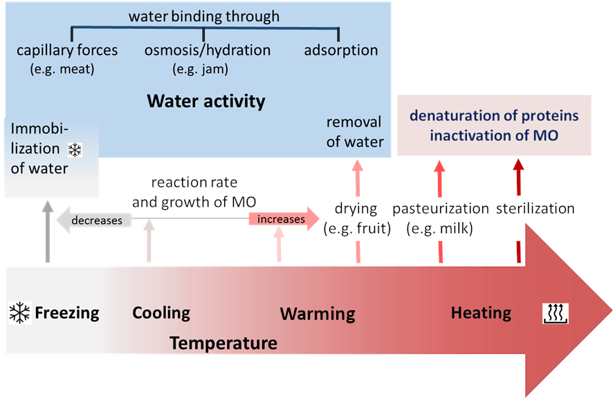 Impact of temperature and water activity on food