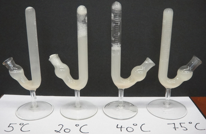 CO2 production by yeast