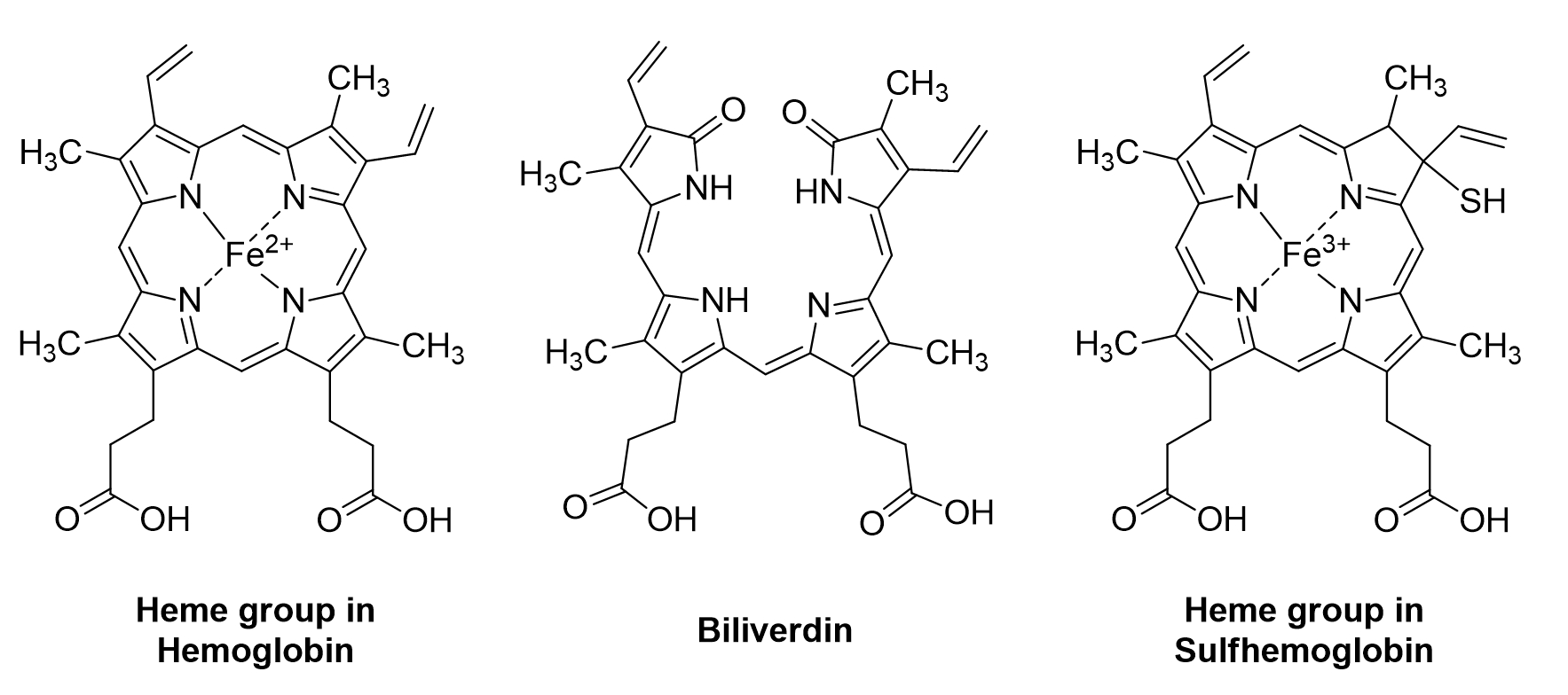 hemical structures of natural pigments found in the skin and bodily fluids