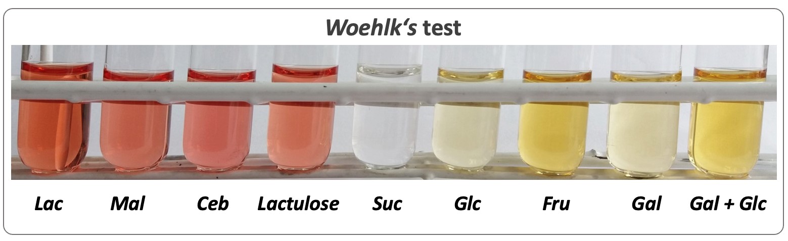 Woehlk's test applied to various sugar solutions